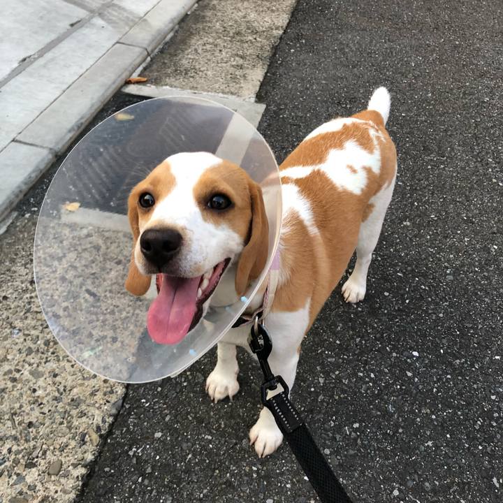 Dc5242fc 4898 440b 8a05 c4554581d833 1531392813771