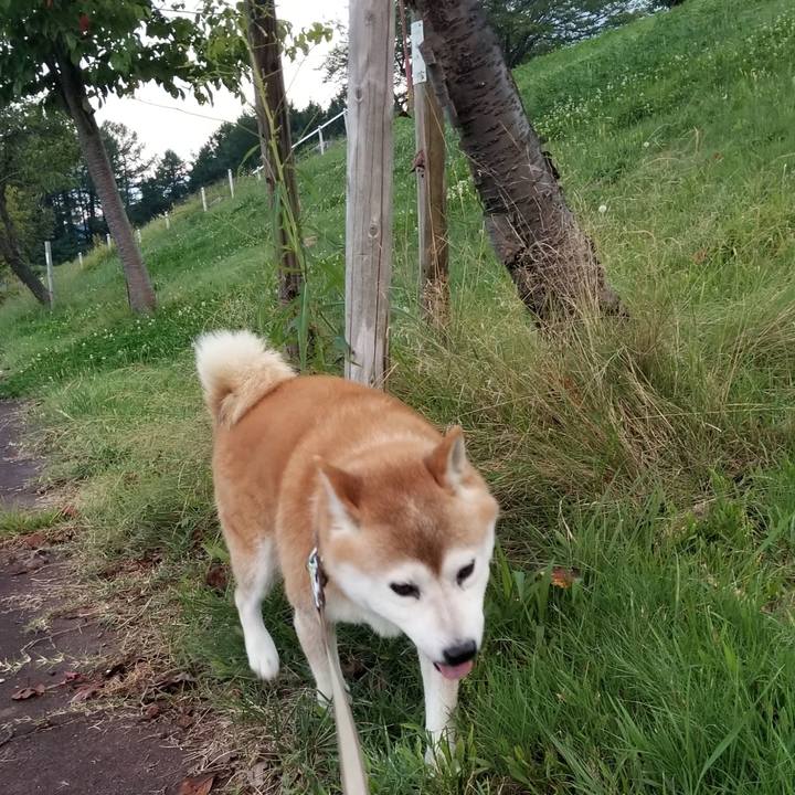 Dc5251f8 b952 4d27 aa56 bcf2c6ba0b35 1662368639061