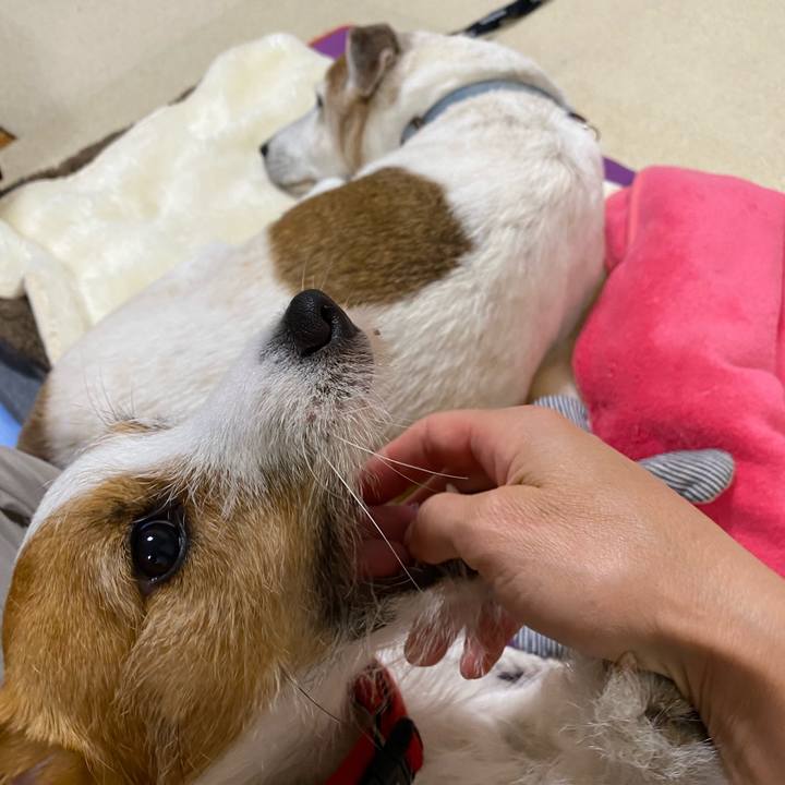 Dc52a0bd 2346 4e4a a4b9 11f533e84cef 1653658222441