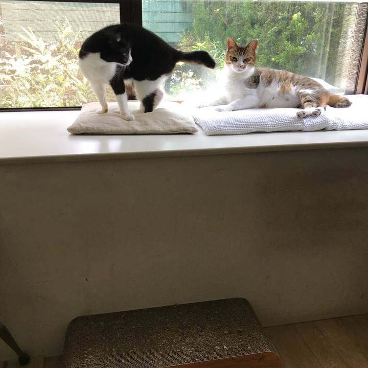 Dc52a133 49a6 474a 9e1a 8f39c7b6a31b 1529983505170