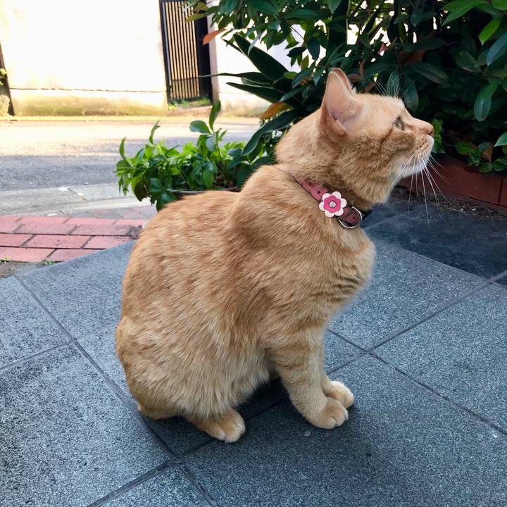 Dc52eda5 2870 4590 8b40 5e942f783c36 1527932331516