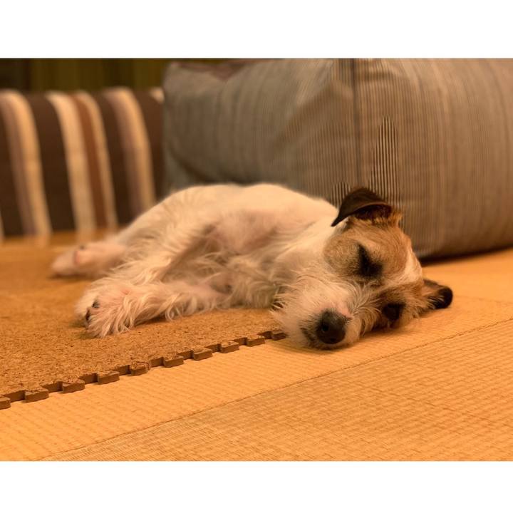 Dc52f569 1a76 4cd8 8212 e4d4b35c4b7c 1615901062549