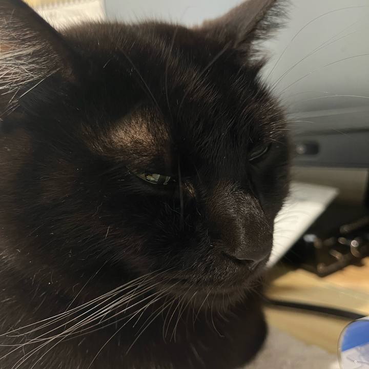 Dc5306cf da07 4fda 8059 cb147d093930 1638765342060