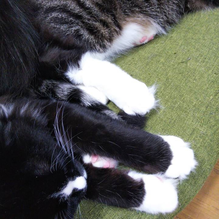 Dc533fa9 bb03 4413 920b 77e73c7af5b5 1650791766094