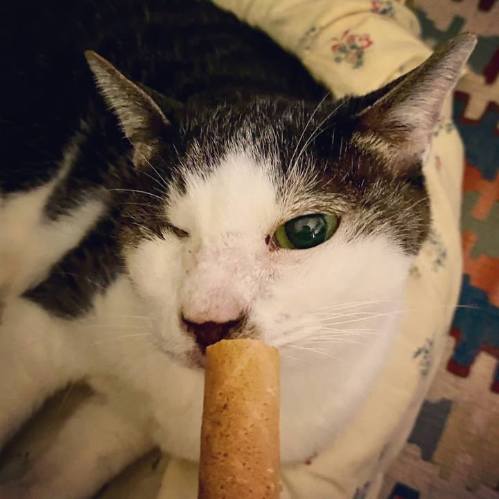 Dc5347d9 58a1 4b25 b0af 887e5239c074 1605962586531