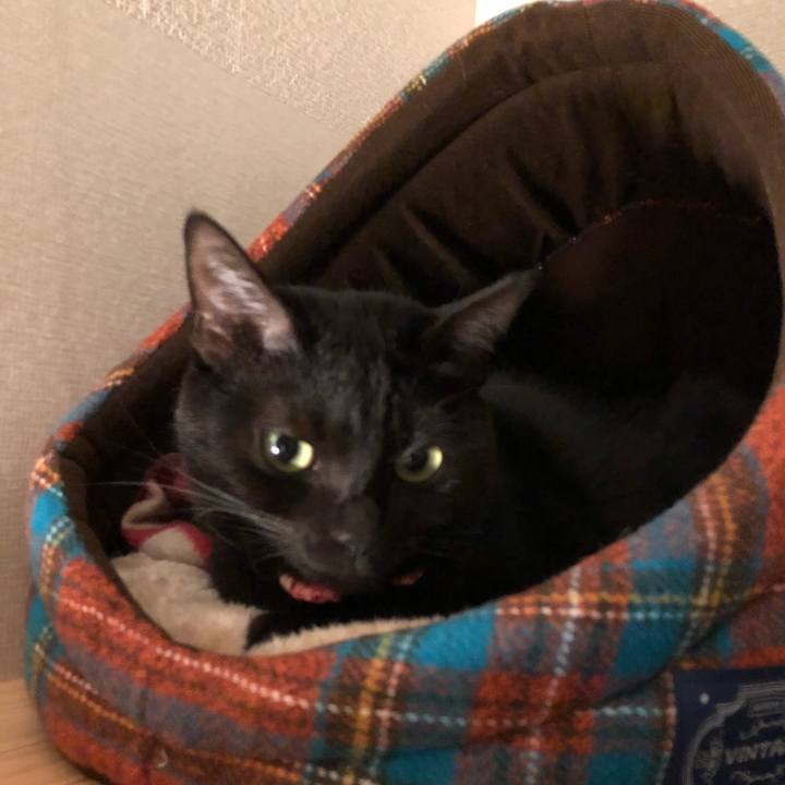 Dc5374cb 3d45 439a af0d ba15b9f05630 1509542681773