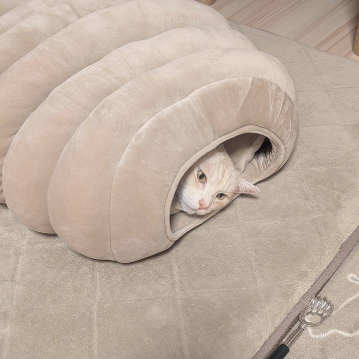 Dc5388ab 0413 4156 9c57 41674e3830dd 1763550694585