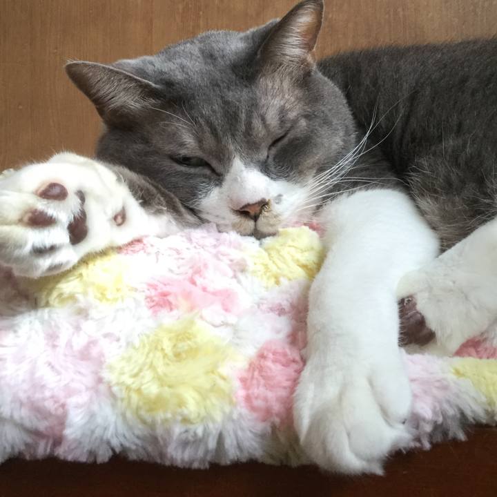 Dc53db25 8d51 405e 8275 7579b3188c70 1568510538066