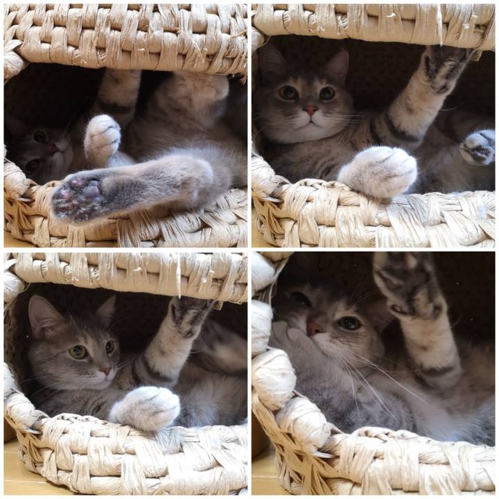 Dc5410db 0f13 43ee b6bd 239536209008 1571324045944