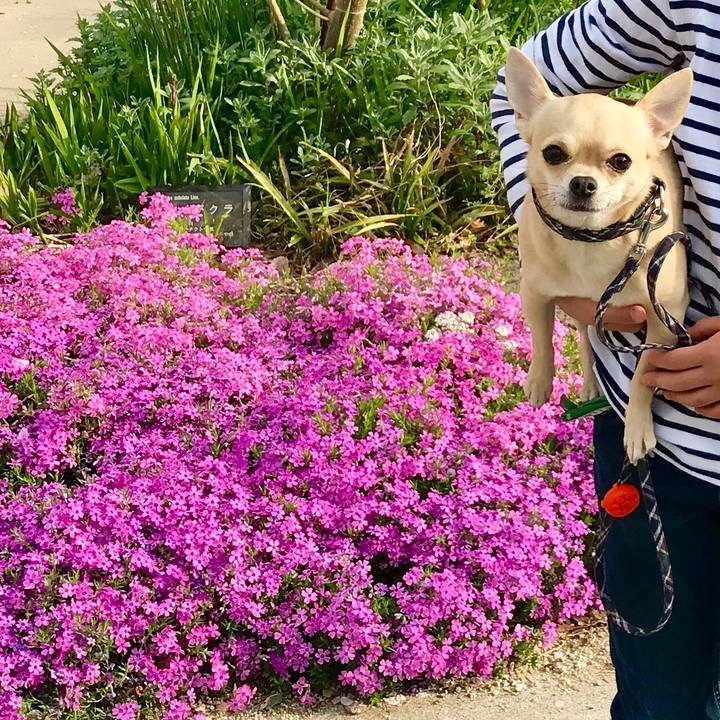 Dc542cb6 be23 4301 98fe 5b3a2c512778 1522711114118