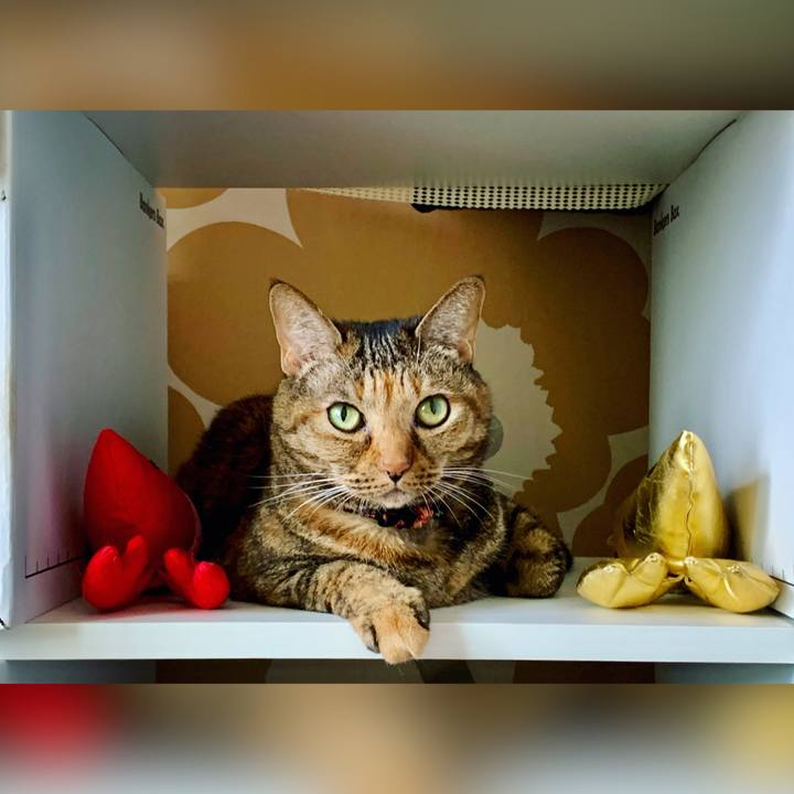 Dc546392 0f76 4758 99c8 b2de3604008c 1696198716410