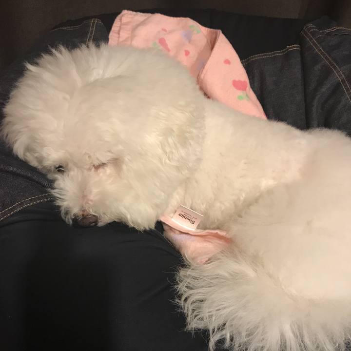 Dc546cf4 3082 429e 9f44 a396205a5726 1534501718227