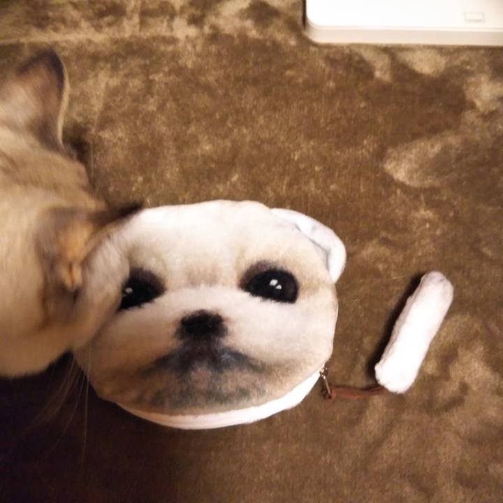 Dc5483e4 6fa4 4c72 838d 2b2727271db9 1550934631605