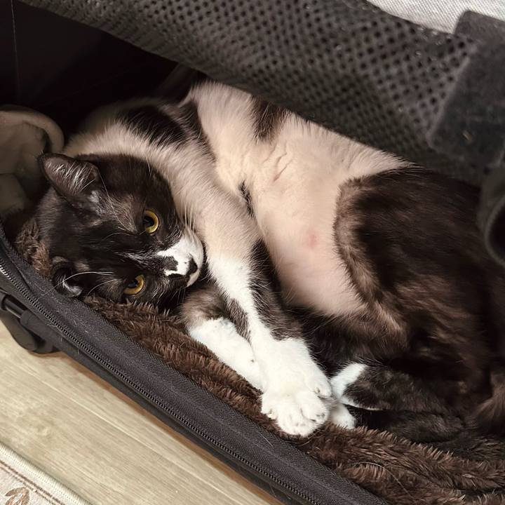 Dc548496 bf7c 4ba1 a06f 67b317cbe2e6 1774021680286