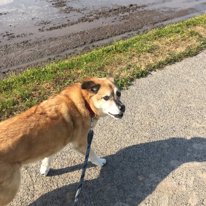 Dc5490b8 9fe8 41ca a11a 584a179f1004 1588157236222