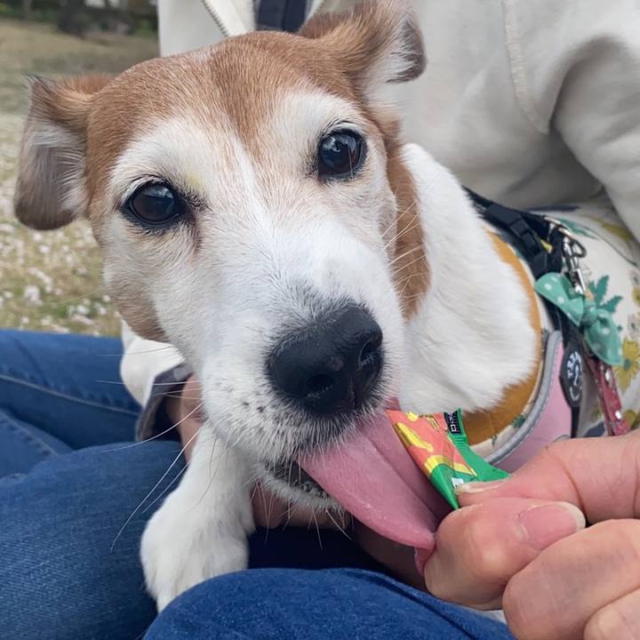 Dc5495f4 6993 4232 8655 8ae8d54be4b9 1619182439431