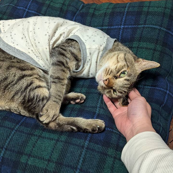 Dc54987c fb82 4e9b 89e1 7b7f007504b6 1769158446311