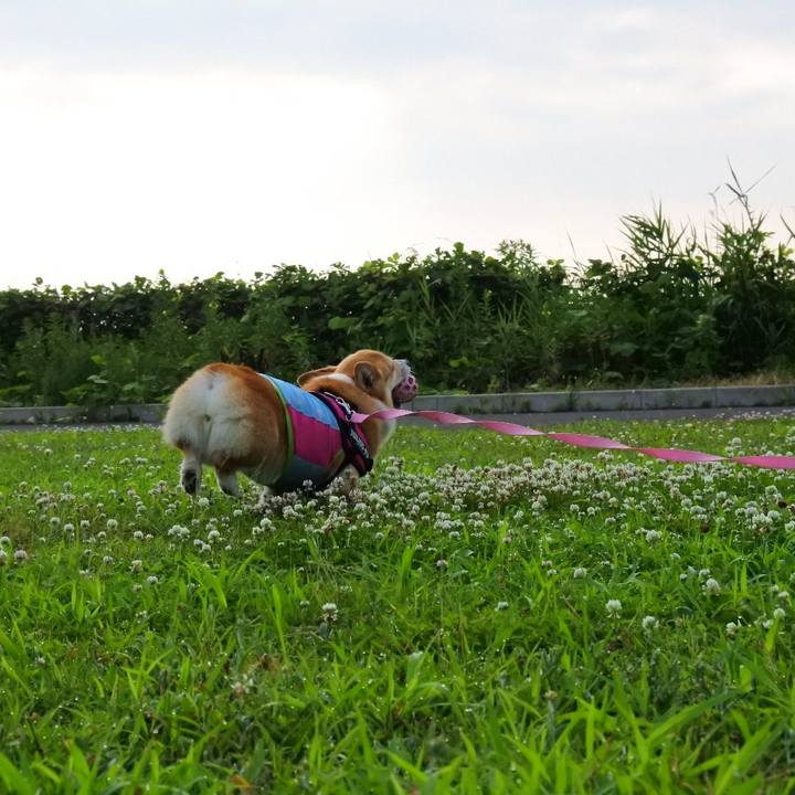 Dc54ba9c eba2 4bb1 a82c d0b976d247d7 1627095809271