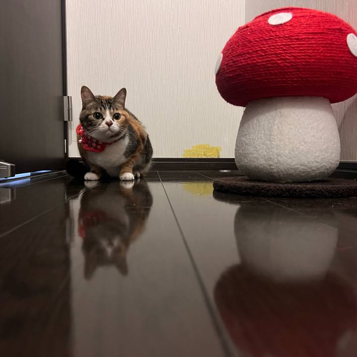 Dc54d2f4 5ee3 4e2b 9380 032319a52863 1769913367591