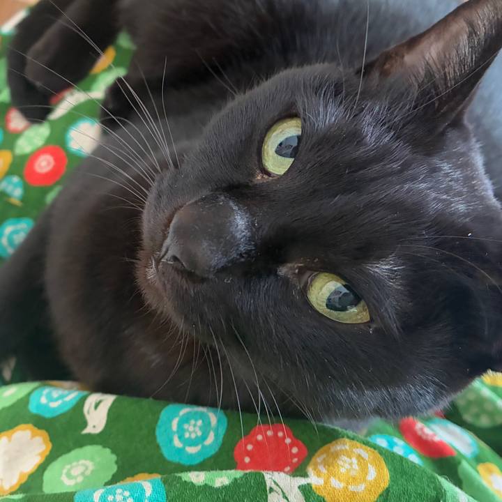 Dc54ebfd e835 461e 853d 6ae0c9254c6a 1766190587614