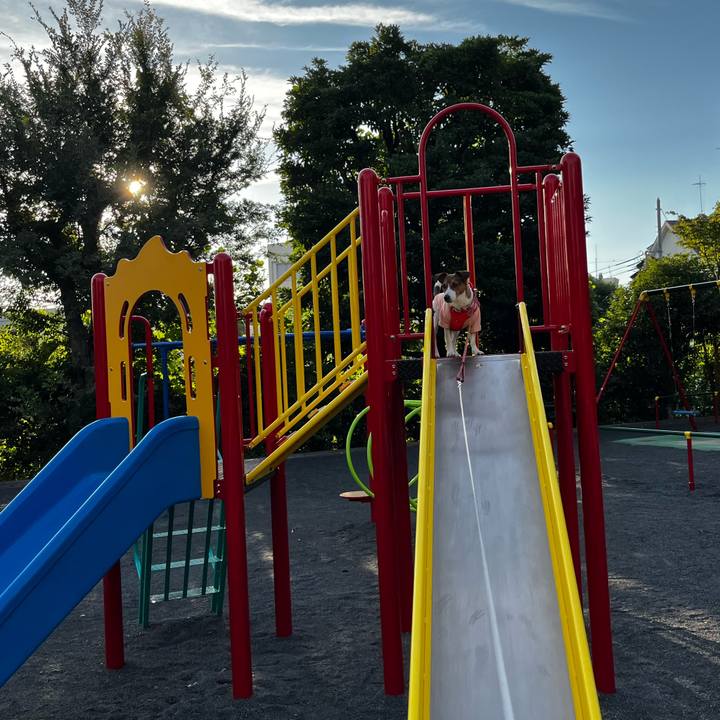 Dc54ec28 8691 4f7b b65d be6ac629ed72 1758888935511