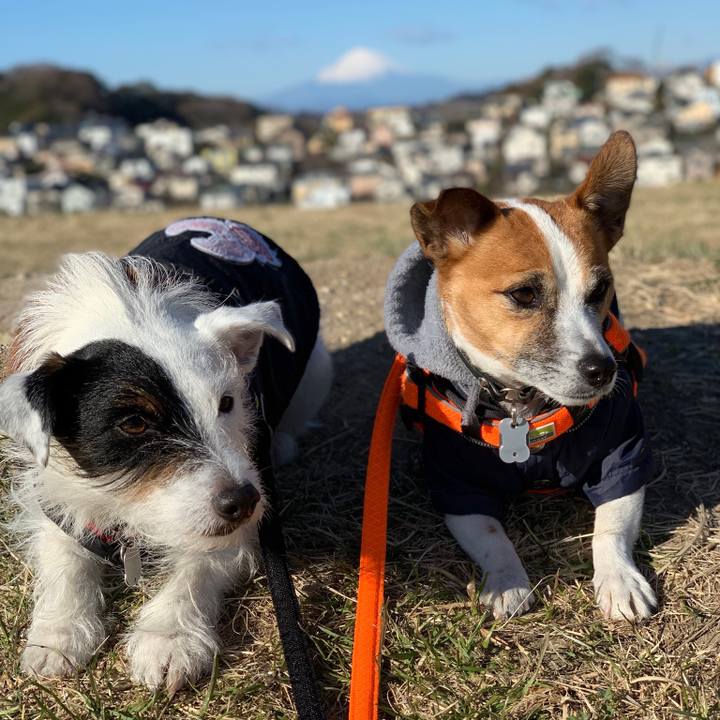 Dc55029a f5cc 424e ac62 c96e678a8ac0 1546996736136