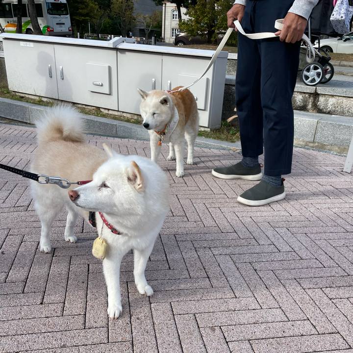 Dc55556b d7bd 419d babd 11d1b007f996 1699096883820