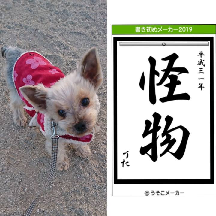 Dc556961 65e3 497b bbe9 f4a7aef35fd6 1546485557632