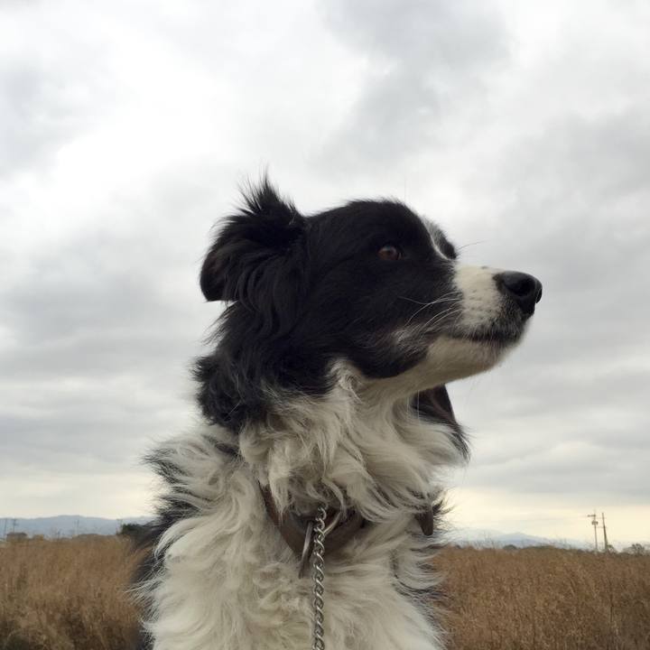 Dc558cad 4e33 42e2 bd7c d33e8801d1eb 1544139245440