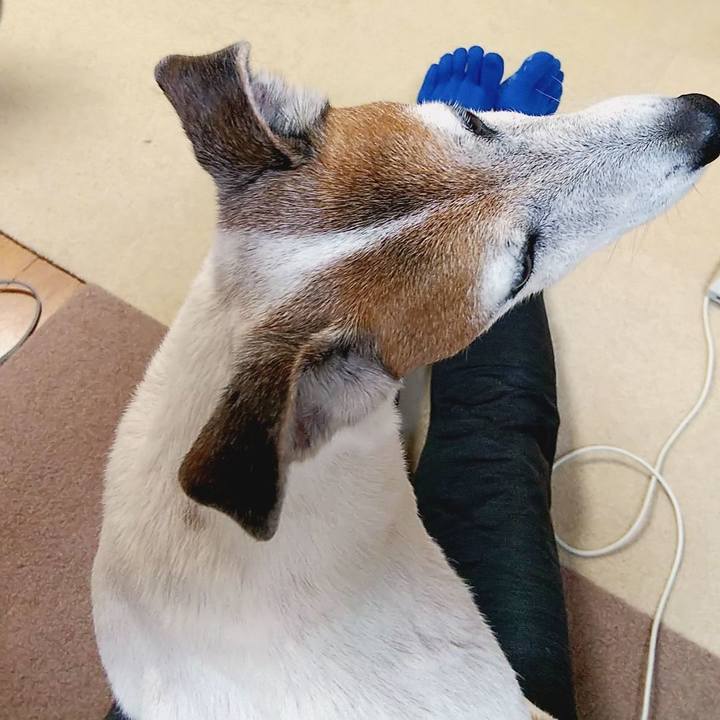 Dc55acbb db5a 4d4c ba8d 9552c25b2af0 1537448797894