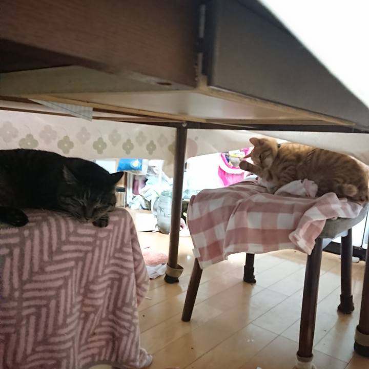 Dc55dd7a 93c6 4867 affa 78c8a95b290e 1638046556524