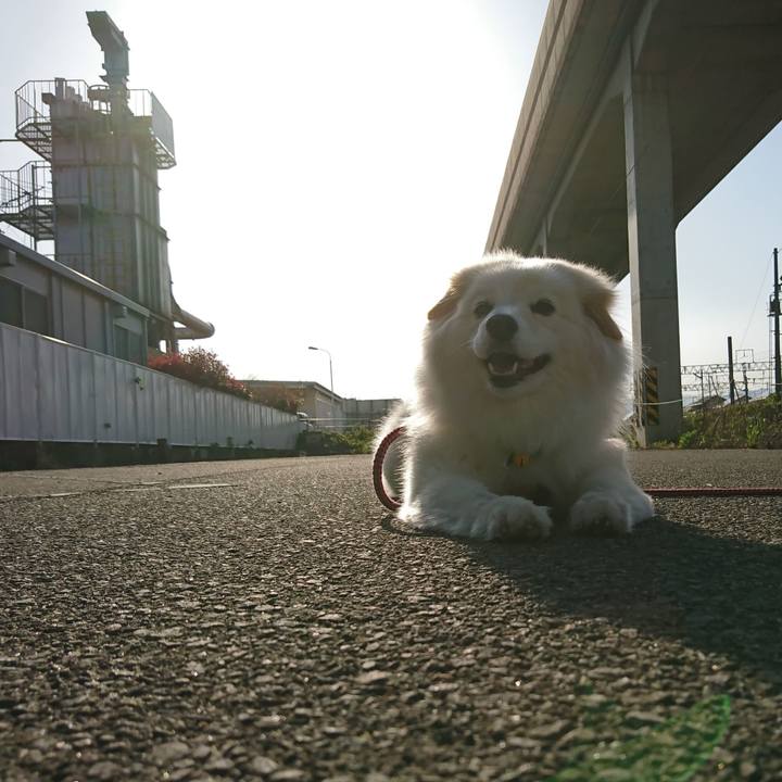 Dc55f62e a1ca 43eb b49d b12dfe1b239f 1525505675058