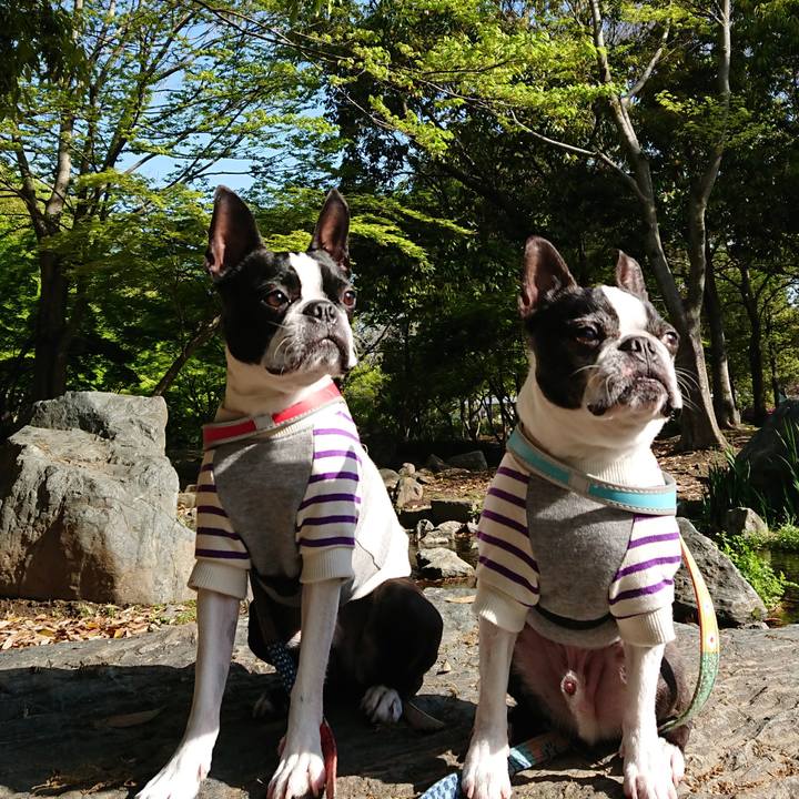 Dc56093e 339c 4788 840d 83a00406e1da 1524096673085