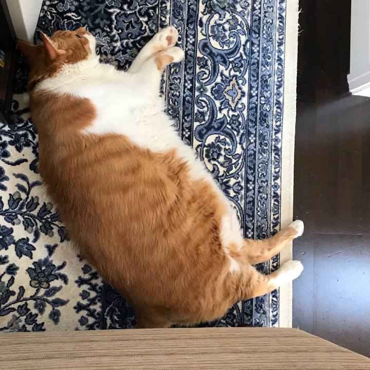 Dc567481 933a 4880 9f08 7f0e3060c6f1 1557538050221