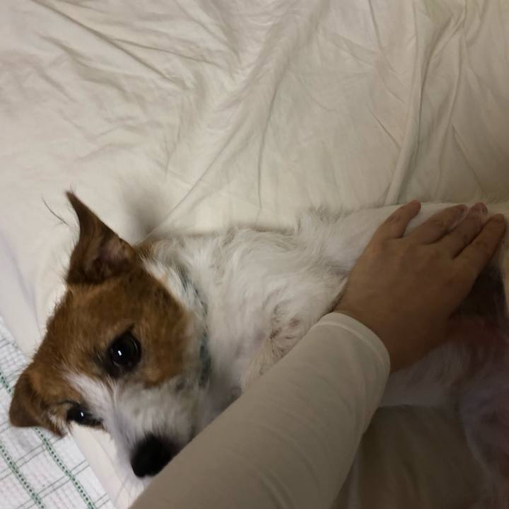 Dc568315 4ee2 428e b7fd a881b70044b5 1540128153535