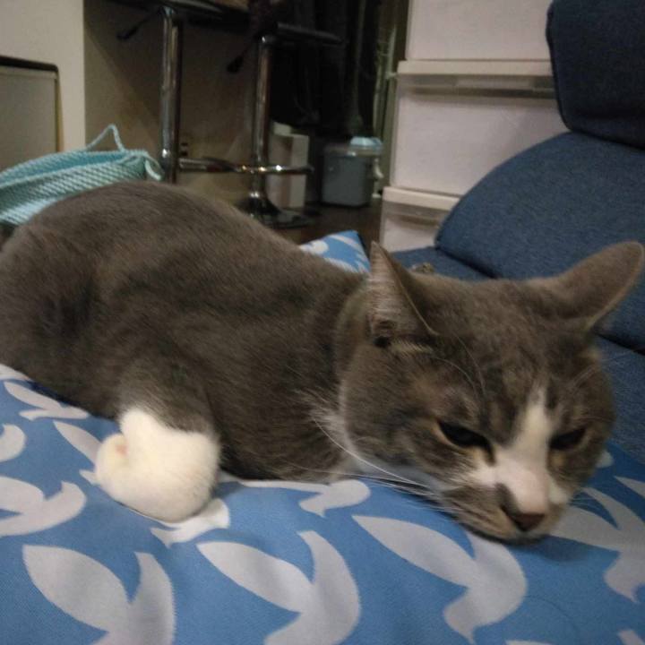 Dc56a4c9 ebe7 4dd1 801f e5cbf42749e2 1706788635903