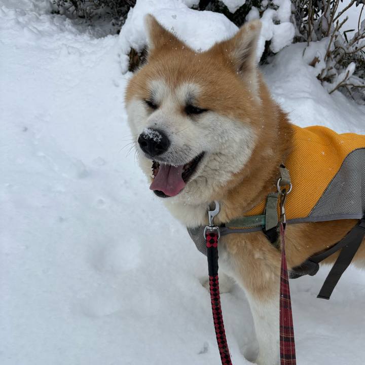 Dc56cbf1 e80b 41c9 824e 95c72badec8f 1770534170512