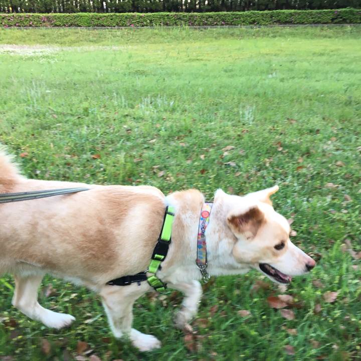 Dc56eddf f8fa 47f4 aa3b 5ec5d93f822f 1525080748848