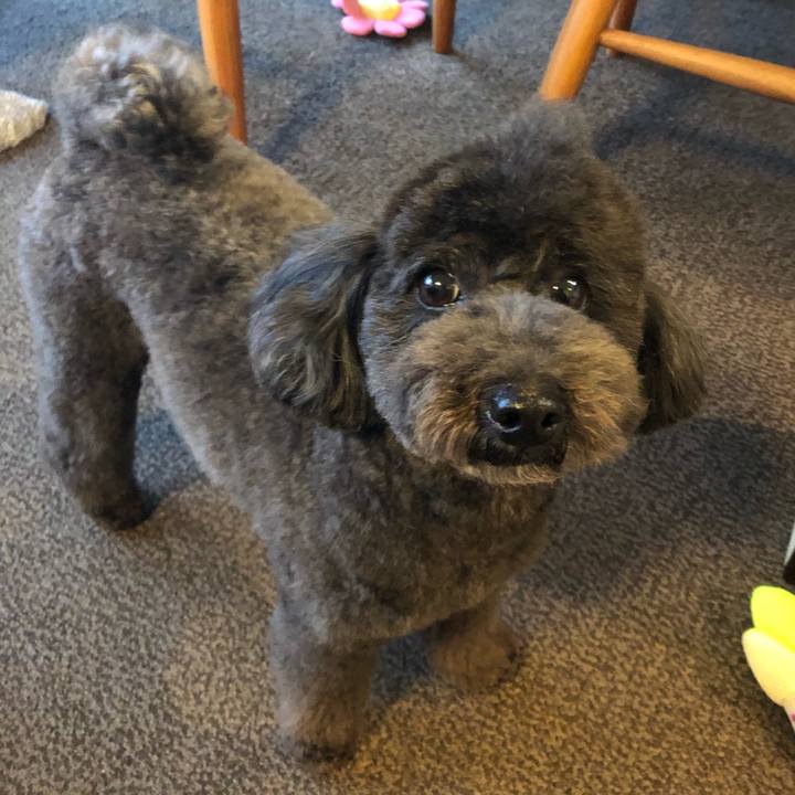 Dc56f1bf 82af 40ba 9fcc c8b958fc1c58 1614335952347