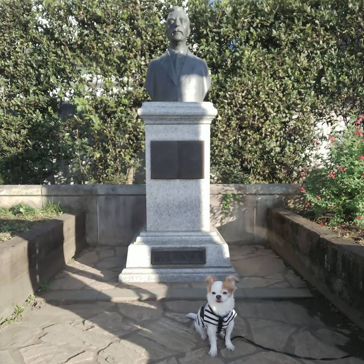 Dc5736d5 ed40 4c9c 8565 6c9af5d3da94 1573976577978