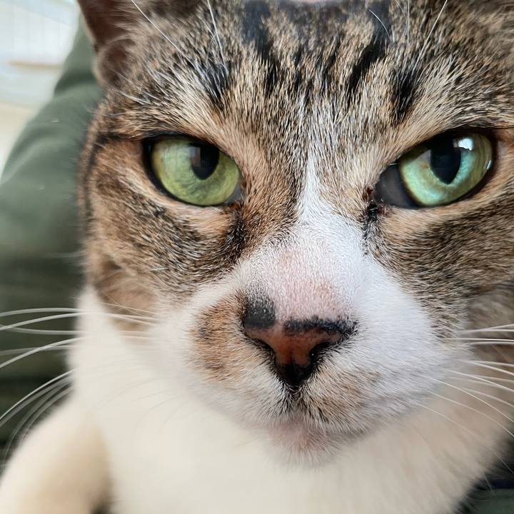 Dc574095 65ec 4e65 815d 04be018fa077 1647049347991