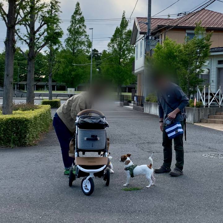 Dc5770c7 16e9 4050 b2c5 1f69c2cbf6da 1620042972138