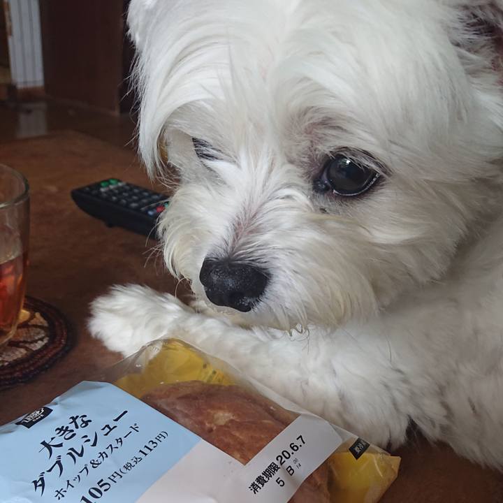 Dc579095 540d 4c06 92e4 2dc369c6b199 1591324012851