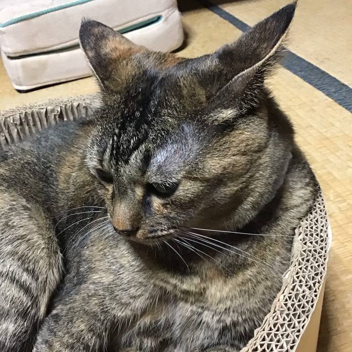 Dc57be6f e284 404b 8054 c53eaca7111a 1726477154556