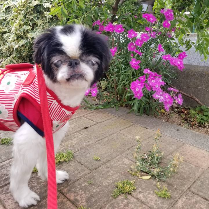 Dc57ef15 d2aa 4659 9717 5f319ccc94f8 1621067487367