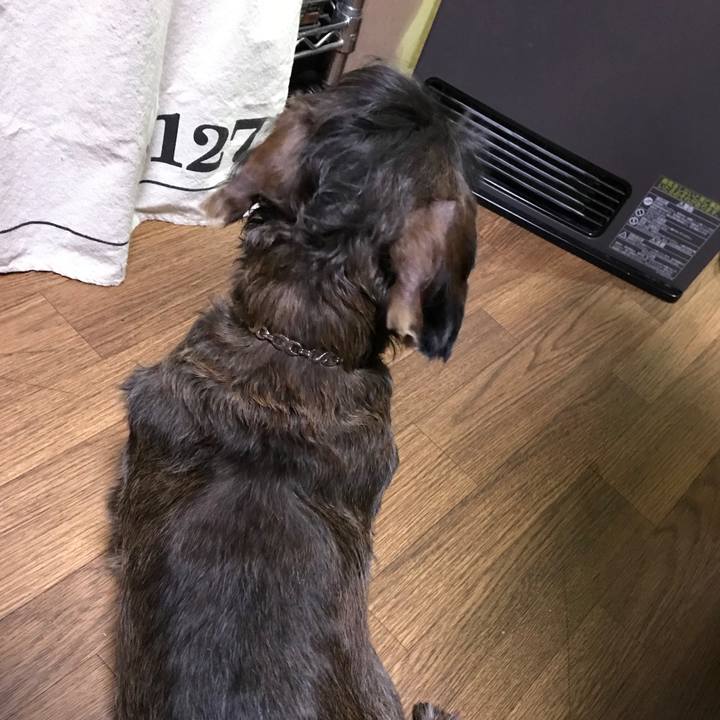 Dc5818b0 80c8 4a15 bb0f 4ac2128e9101 1516895261551