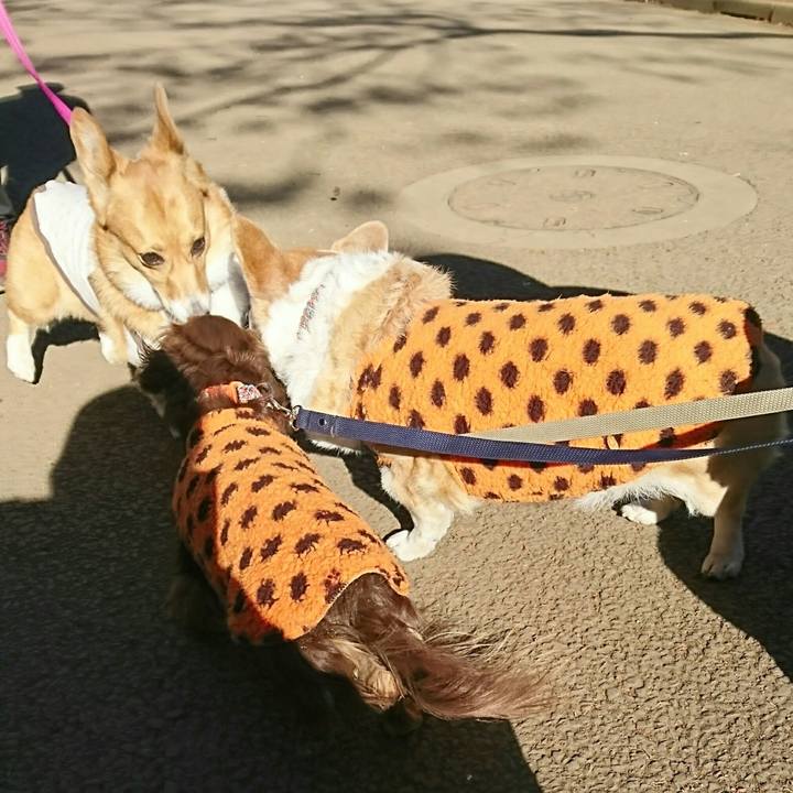 Dc581a2d 97fc 4880 b81a 9422f478f5b1 1548588865479