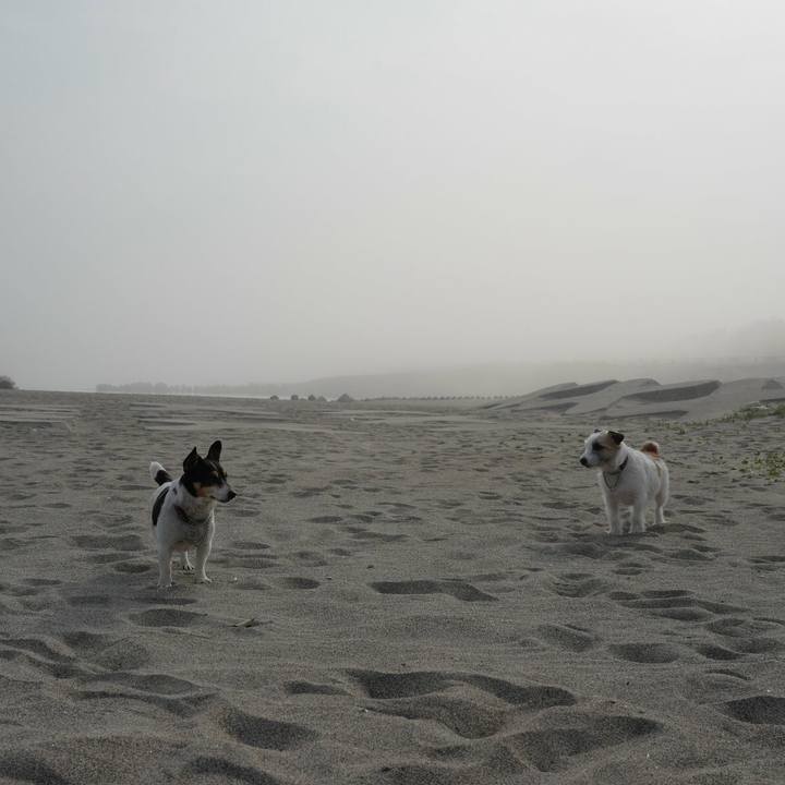 Dc582d40 0d51 42bb b8bd 843e4cb57796 1525235676857