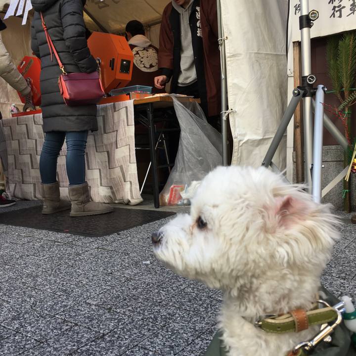 Dc5848e5 befd 4b97 bc0c 943dc4bfa166 1514436809435