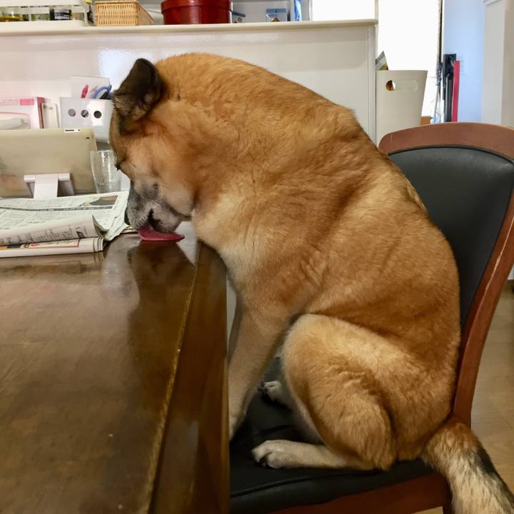 Dc587b44 810a 45a0 856d 03952cfc2088 1538094588526